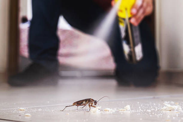 Best Pest Removal Services  in Carnegie, OK