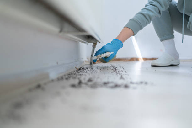 Best Pest Inspection Near Me  in Carnegie, OK